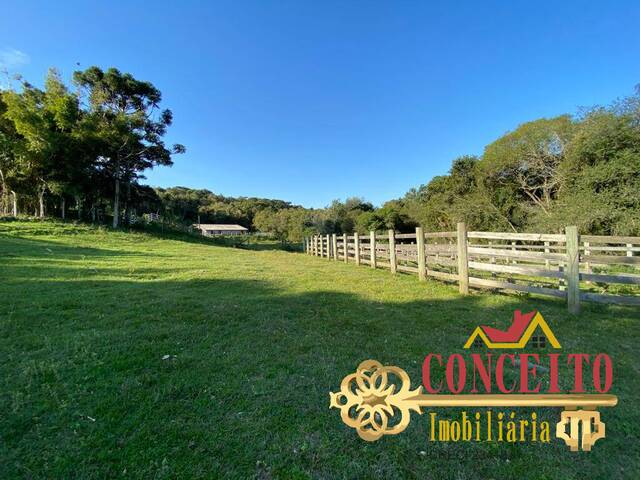 Fazenda para Venda em Viamão - 5