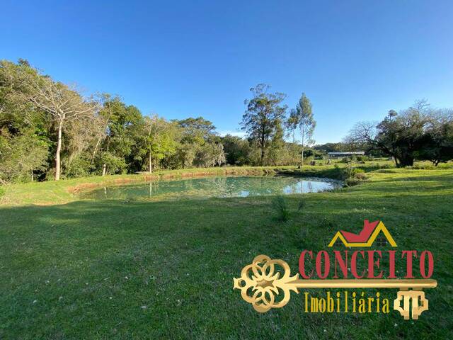 #894 - Fazenda para Venda em Viamão - RS - 3