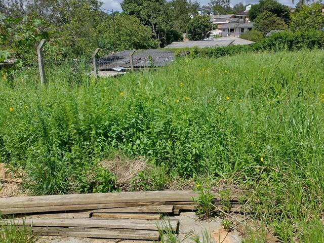 Terreno para Venda em Viamão - 4