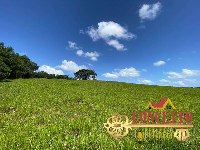 #966 - Fazenda para Venda em Viamão - RS - 3