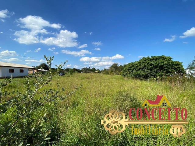 Terreno para Venda em Viamão - 5