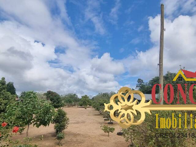 Sítio para Venda em Viamão - 5