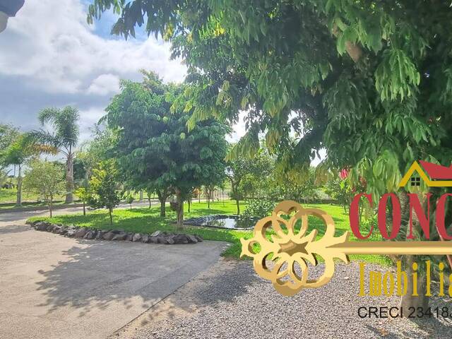 Sítio para Venda em Viamão - 4