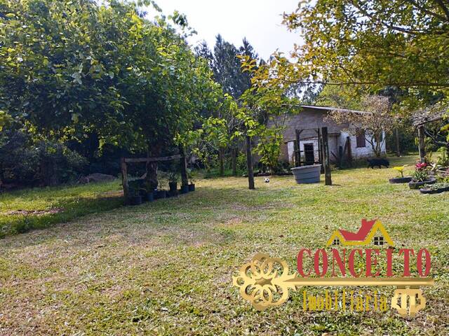 Sítio para Venda em Balneário Pinhal - 5