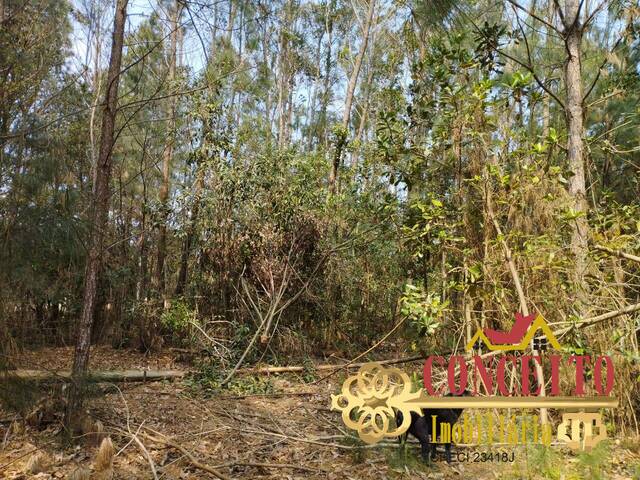 #1072 - Área para Venda em Balneário Pinhal - RS - 3