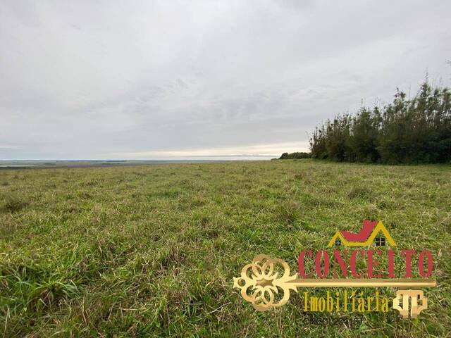 Fazenda para Venda em Viamão - 5