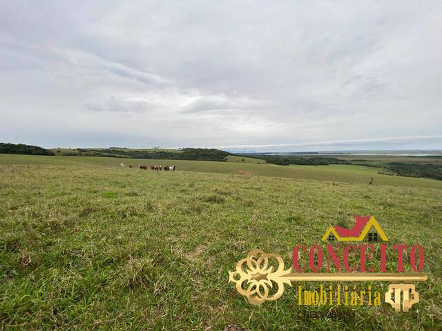 Fazenda para Venda em Viamão - 4