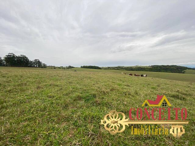 #834 - Fazenda para Venda em Viamão - RS