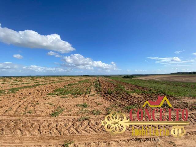 #1092 - Fazenda para Venda em Viamão - RS - 3