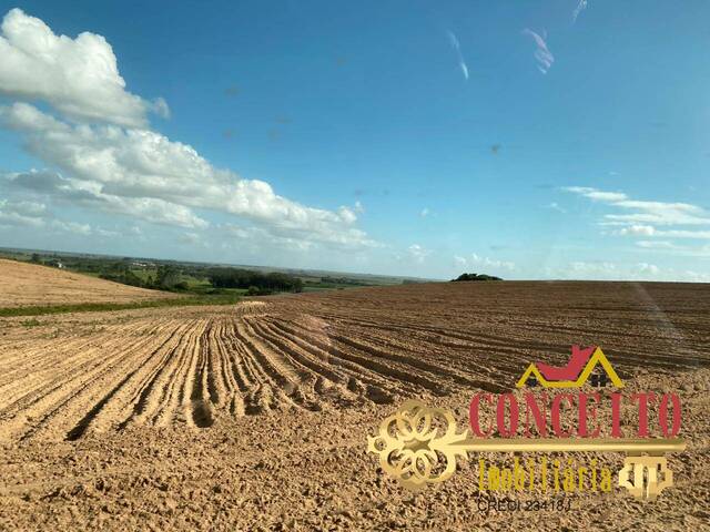 Fazenda para Venda em Viamão - 4