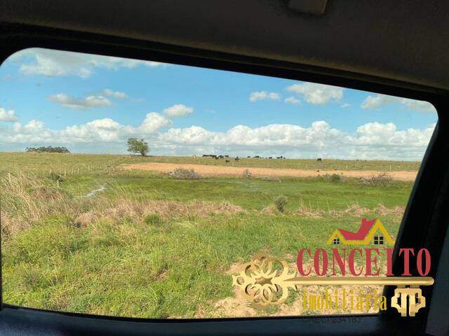 Fazenda para Venda em Viamão - 5