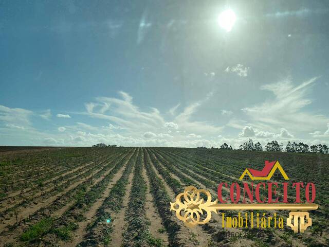 #1092 - Fazenda para Venda em Viamão - RS - 2