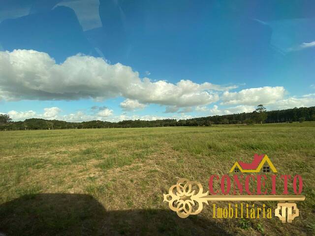 Fazenda para Venda em Viamão - 5