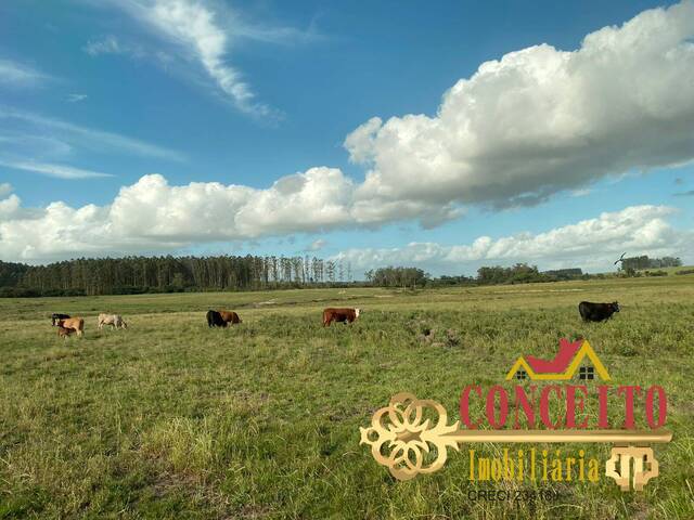 Fazenda para Venda em Viamão - 4