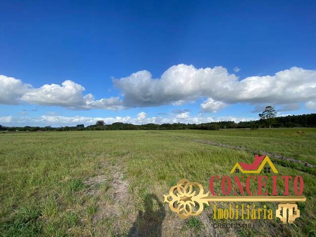 #1093 - Fazenda para Venda em Viamão - RS - 3
