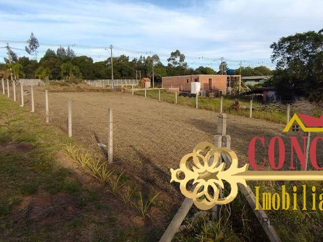 Terreno para Venda em Viamão - 4