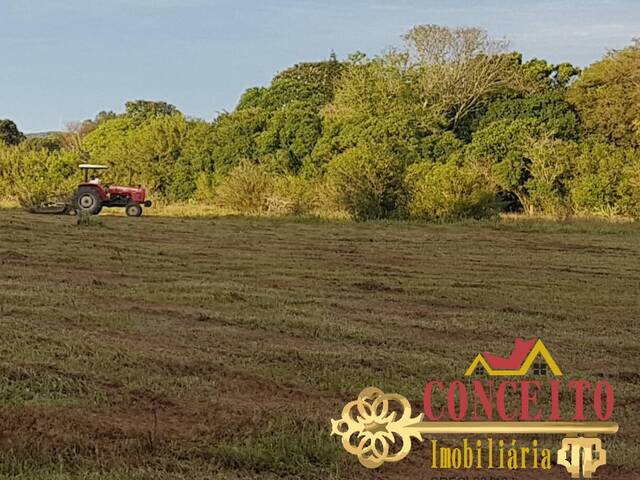 Chácara para Venda em Viamão - 4