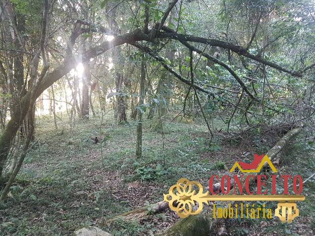 Chácara para Venda em Viamão - 5