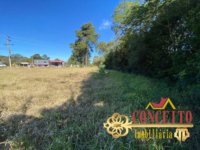 #1205 - Terreno comercial para Venda em Viamão - RS - 3