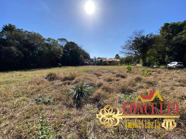 Terreno comercial para Venda em Viamão - 4