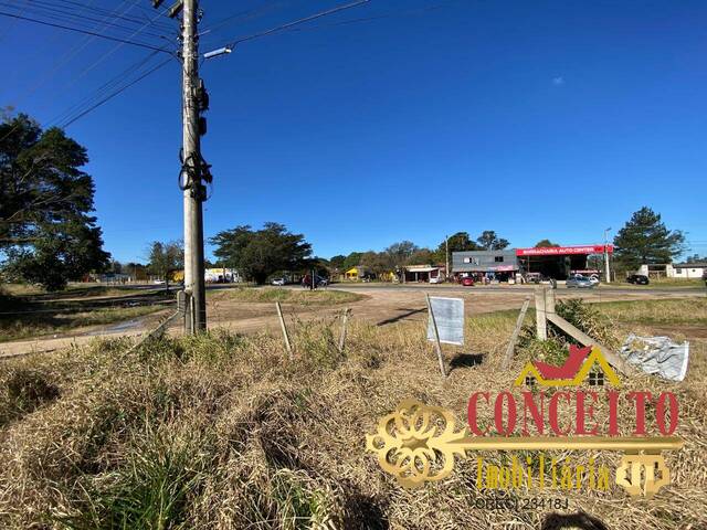 Terreno comercial para Venda em Viamão - 5