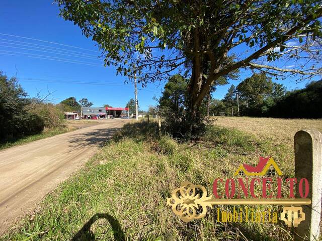 #1205 - Terreno comercial para Venda em Viamão - RS - 1