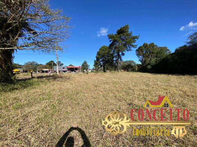 #1205 - Terreno comercial para Venda em Viamão - RS - 2