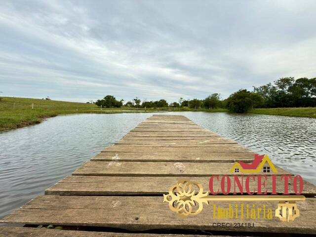 #1257 - Sítio para Venda em Viamão - RS - 3