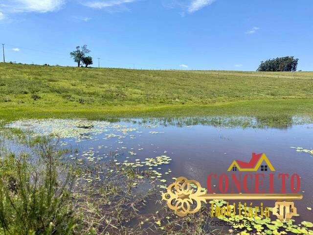 #1265 - Chácara para Venda em Viamão - RS - 2