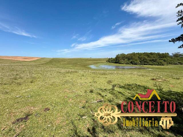 #1265 - Chácara para Venda em Viamão - RS - 3