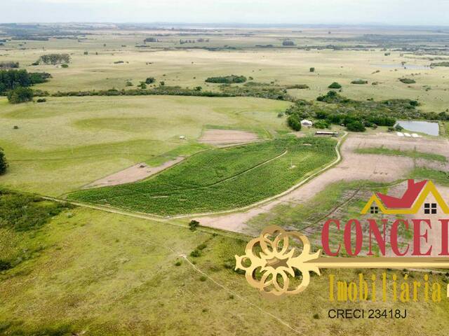 #1270 - Fazenda para Venda em Viamão - RS - 3