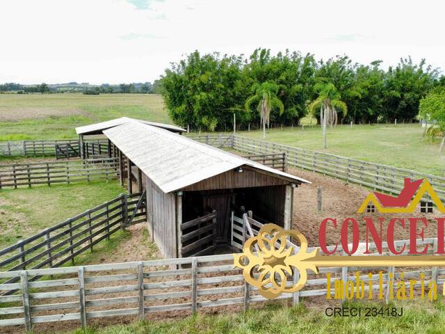 Fazenda para Venda em Viamão - 4