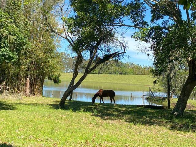 #1204 - Sítio para Venda em Viamão - RS - 2