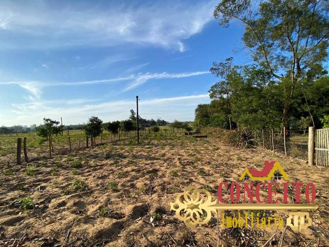 Sítio para Venda em Viamão - 4