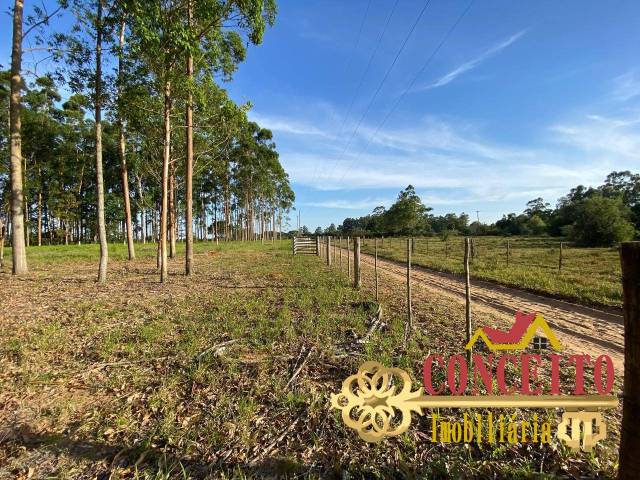 #1274 - Sítio para Venda em Viamão - RS - 2