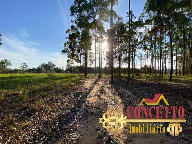 Sítio para Venda em Viamão - 5