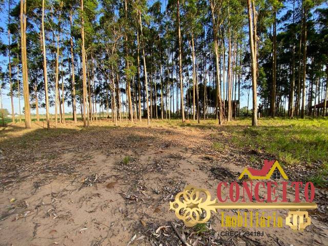 #1274 - Sítio para Venda em Viamão - RS - 3