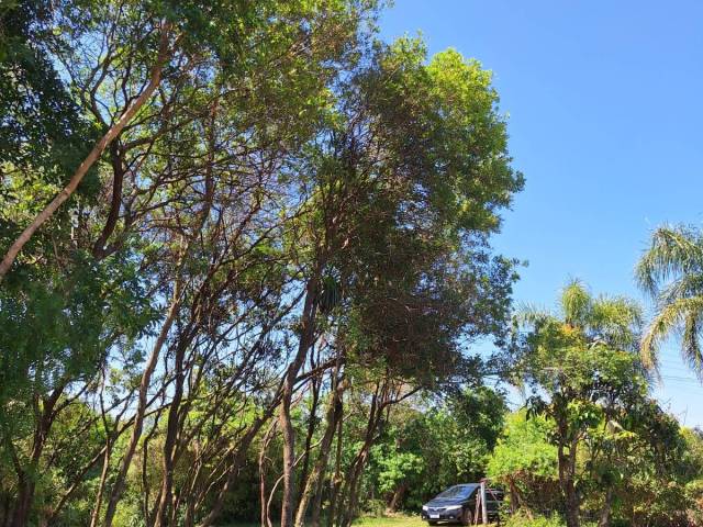 #1287 - Terreno em condomínio para Venda em Viamão - RS - 2