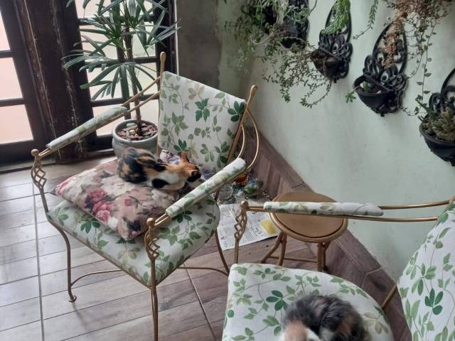 #1293 - Casa em condomínio para Venda em Viamão - RS