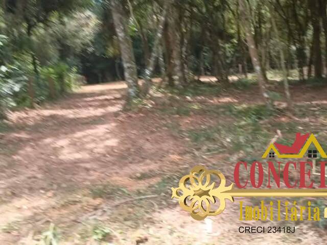 #1297 - Área para Venda em Viamão - RS - 3