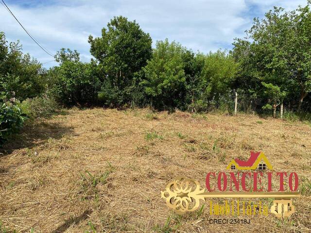  para  em  - 5