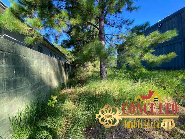 Terreno para Venda em Viamão - 4