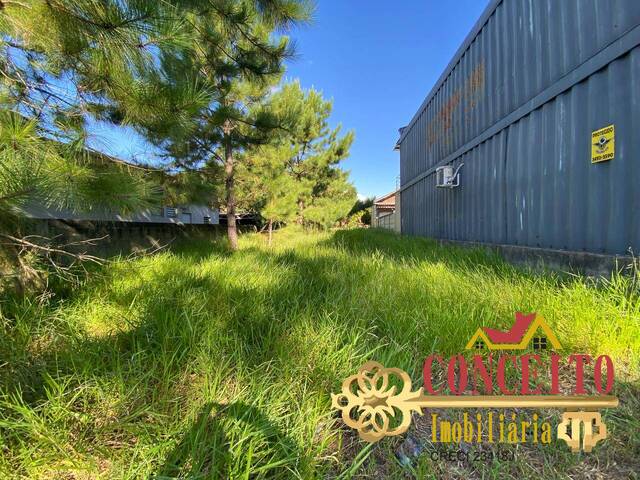 #1309 - Área para Venda em Viamão - RS - 3