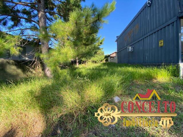 Terreno para Venda em Viamão - 5