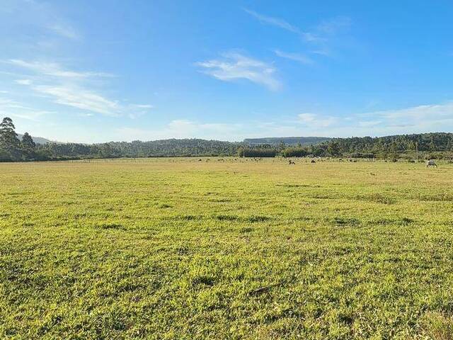 #1320 - Chácara para Venda em Viamão - RS