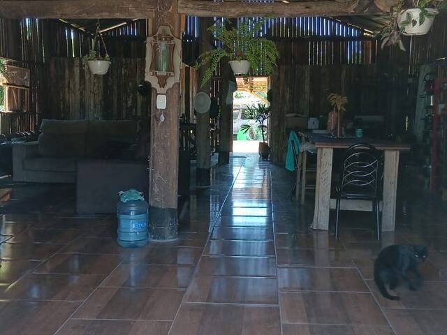 Sítio para Venda em Viamão - 4
