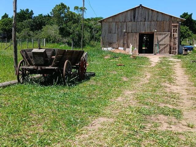 #1325 - Sítio para Venda em Viamão - RS - 1