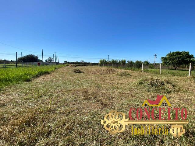 Venda em Águas Claras  - Viamão