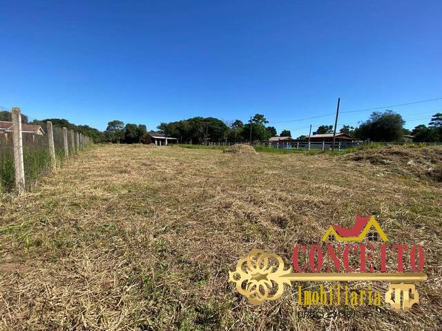 Terreno para Venda em Viamão - 4
