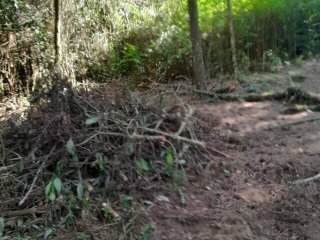 #1329 - Área para Venda em Viamão - RS